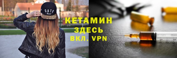 крисы Алзамай