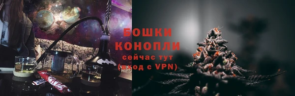 крисы Алзамай