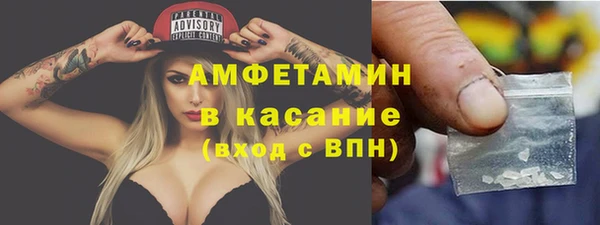 крисы Алзамай