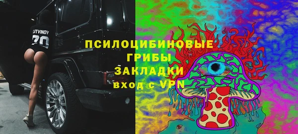 прущие крисы Алексеевка