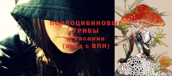 прущие крисы Алексеевка