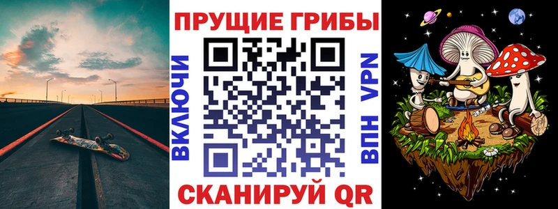 hydra ССЫЛКА Олонец Псилоцибиновые грибы мицелий